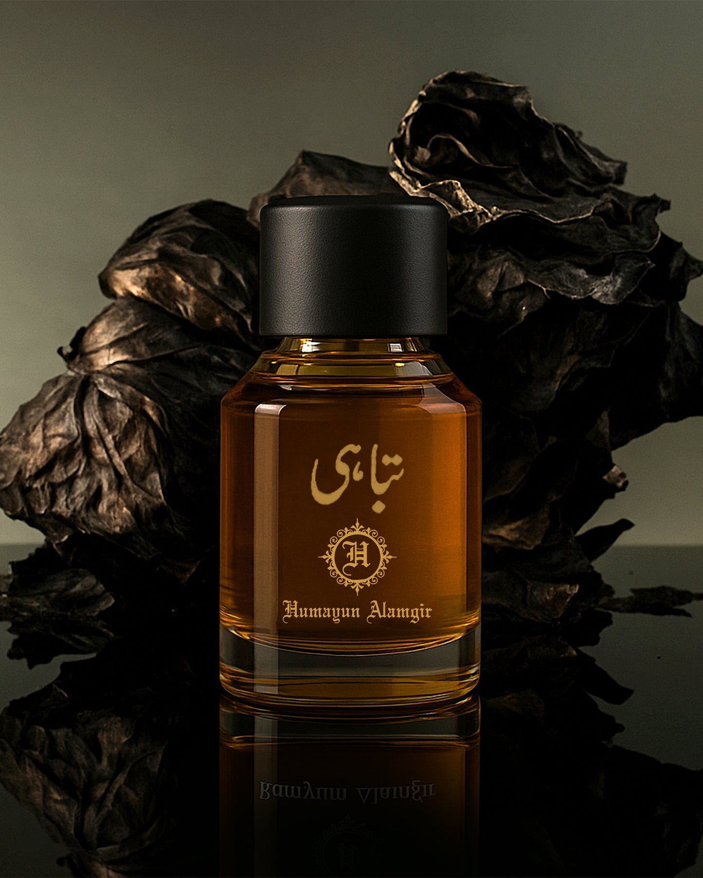 TABAHI